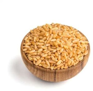 Durum Wheat Grain for Cooking, Baking, Packaging Type : Bag
