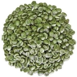 Green Coffee Beans, Packaging Type : Vacuum-sealed Bag