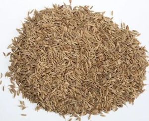Singapore 99% Cumin Seeds