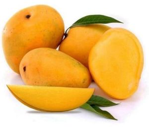 Natural Fresh Alphonso Mango, Packaging Size : 5Kg, 10Kg, 20Kg