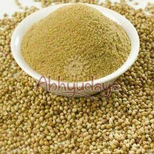 Coriander Powder