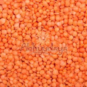 Whole Red Masoor Dal