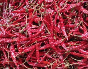 Organic Teja Red Chilli, Packaging Size : 50Kg Food Grade