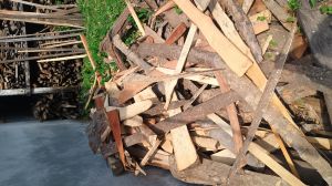 Branches Fire Wood, Color : Brown, Dark Brown, Black