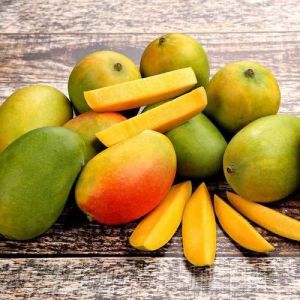 Yellow Fresh Kesar Mango, Packaging Type : Carton Box