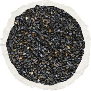 Bold Grade Black Sesame Seeds