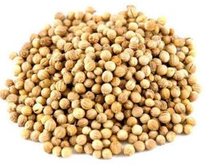 Fresh Aromatic Coriander Seeds