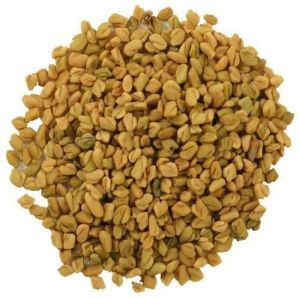 Fresh Whole Fenugreek Seeds