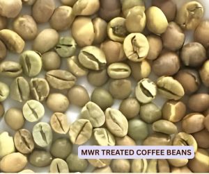 Arabica Coffee Beans for Home, Office, Hotel