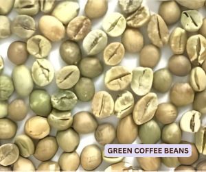 Premium Arabica Coffee