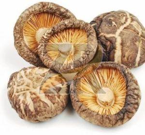 Dried Gourmet Shitake Mushroom