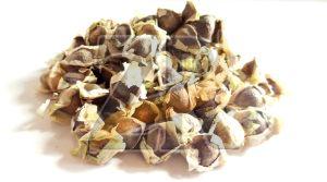 High Nutrient Moringa Seeds