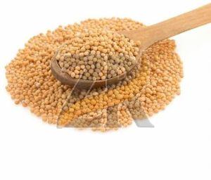 Natural Bold Mustard Seeds