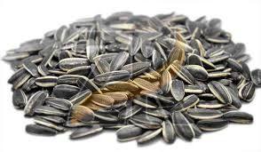 Organic Sunflower Seeds