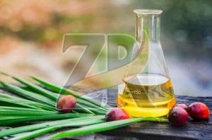 Premium Refined Palm Oil