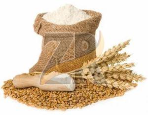 Premium Wheat Flour