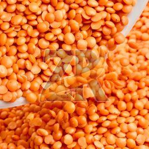 Split Polished Red Lentils Masoor Dal
