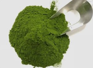 Alfalfa Powder