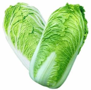 A Grade Fresh Green Chinese Cabbage for Salads, Stir-Fry