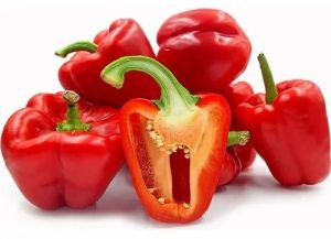 Red Capsicum Bell Pepper, Packaging Type : Crates (5kg / 10kg)