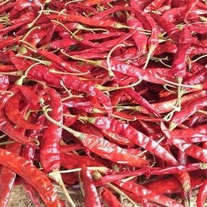 S10 Dry Red Chilli High Quality for Cooking, Spice Blends