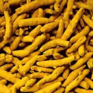 Natural Unpolished Turmeric Finger