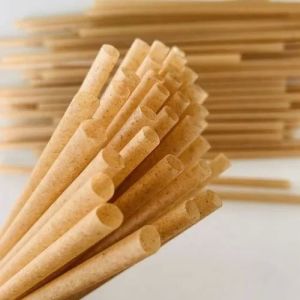 Plain Bagasse Straws, Color : Brown for Cold Drinks, Juices