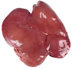 Frozen Goat Liver Piece, Packaging Type : Hygienic Pack