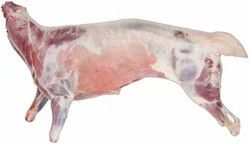 Premium Frozen Whole Goat Meat
