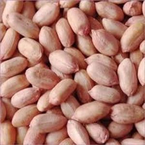 Natural Peanut Kernels, Shell Type : With Shell, Moisture : 5-10%
