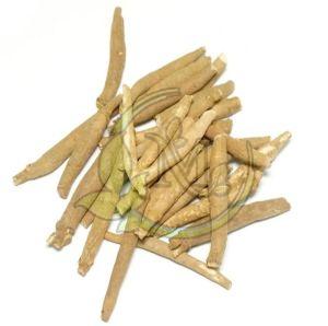 Ashwagandha Roots