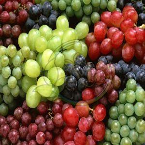 Fresh Grapes