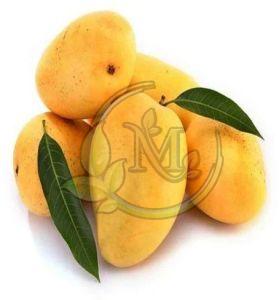 Fresh Mango