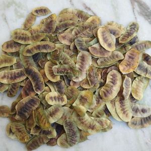 Organic Double Clean Senna Pods for Medicinal, Digestive Health