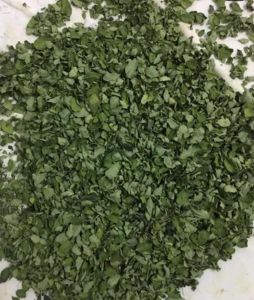 Dry Moringa Leaves, Color : Green for Tea Brewing, Culinary Purposes