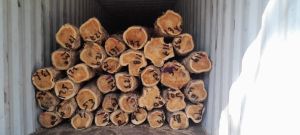 Teak Logs
