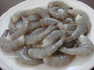 90/110 PD White Frozen Prawns