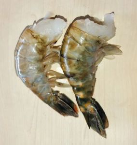 U/5 Jumbo Headless Fresh Water Tiger Prawns