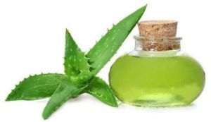 Aloe Vera Fragrance Oil
