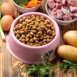 Digestive and Detox Granules