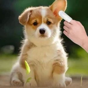 Ear Cleanser Drops for Pet