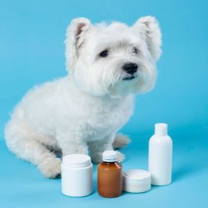 Immunity Booster Tonic for PET