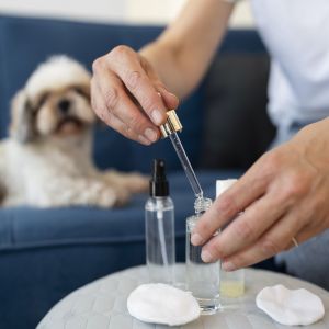 Skin and Coat Health Drops