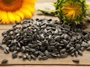 Sunflower Seed