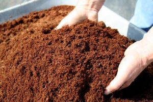 Organic Vermicompost Fertilizer, Color : Dark Brown