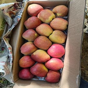 A Grade Fresh Kashmiri Apple