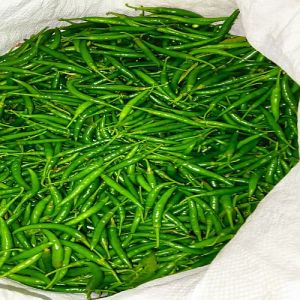 Export Quality Green Chilli