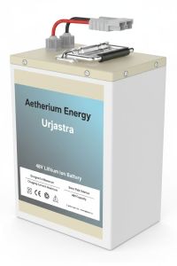 Electric Rickshaw Battery