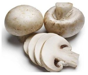 White Organic Fresh Button Mushroom