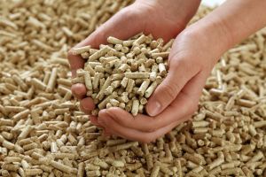 Pinewood Biomass Pellets